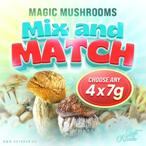 881793469-magic-mushrooms-mix-match-choose-any-4-x-7-grams