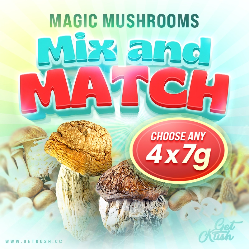 881793469-magic-mushrooms-mix-match-choose-any-4-x-7-grams