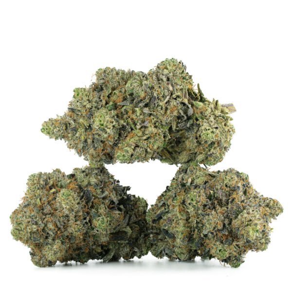 King Louis XIII (AAAA)