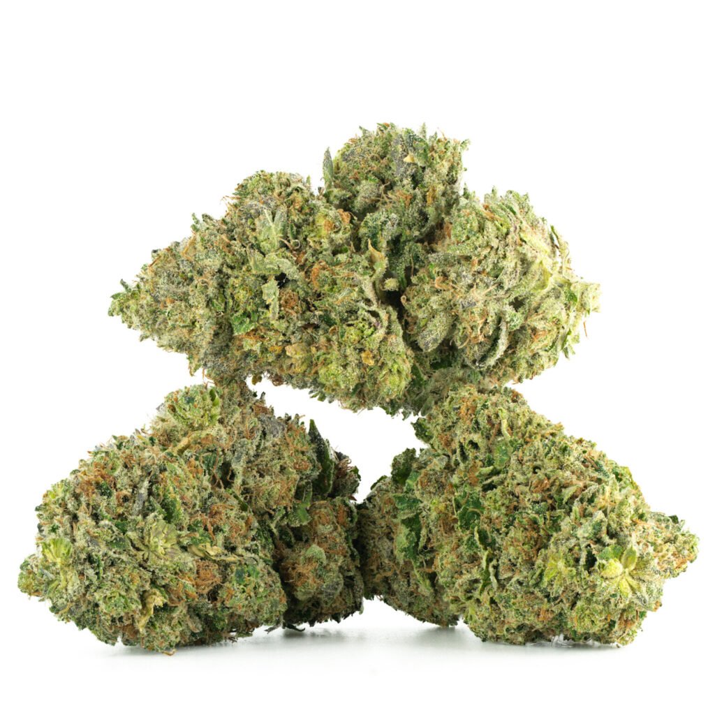 Northern Lights (AA+)