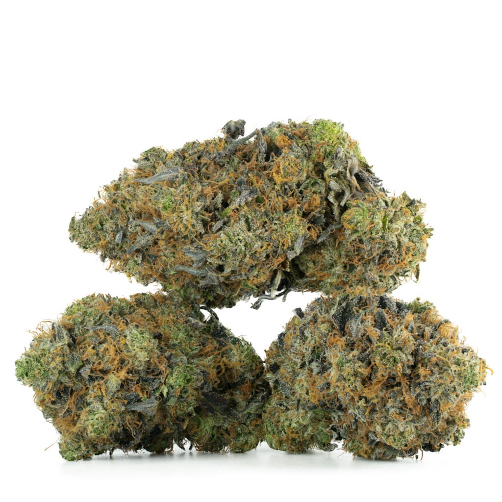 Pink Venom (AAA+)